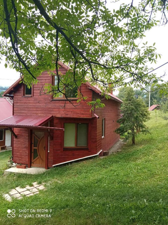 Котедж "Барвінок" فيرخوفينا المظهر الخارجي الصورة