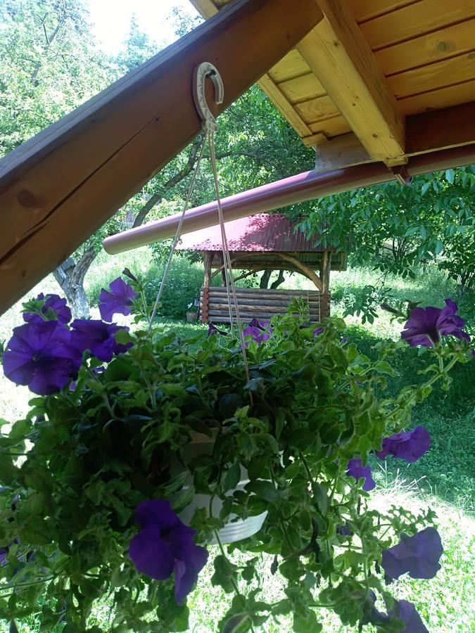 Котедж "Барвінок" فيرخوفينا المظهر الخارجي الصورة
