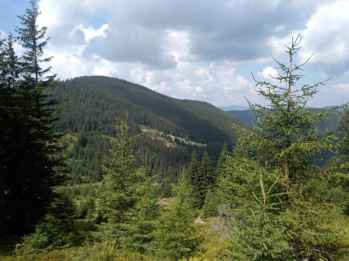 Котедж "Барвінок" فيرخوفينا المظهر الخارجي الصورة
