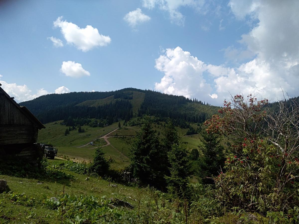 Котедж "Барвінок" فيرخوفينا المظهر الخارجي الصورة