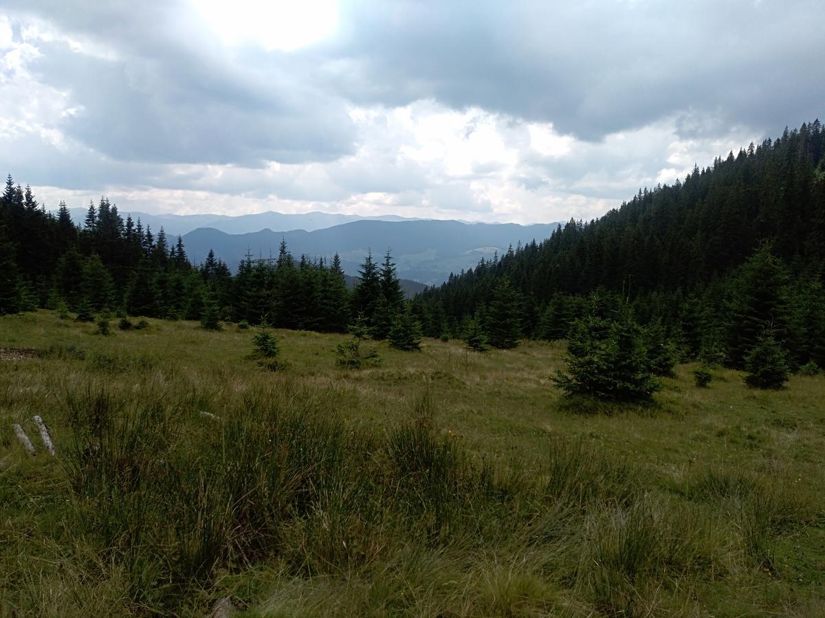 Котедж "Барвінок" فيرخوفينا المظهر الخارجي الصورة